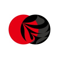 White Ship, Inc. Logo