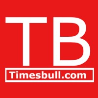 Times Bull Logo