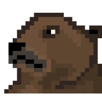 Coding Kodiak Logo