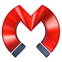 Magnetic Festival Logo