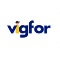 Vigfor Spa Logo