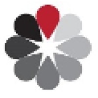Behaviour Solutions Logo