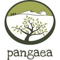 Pangaea Olivenöl aus Griechenland Logo