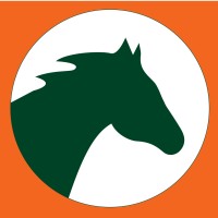 Dark Horse Consulting Group Inc. Logo
