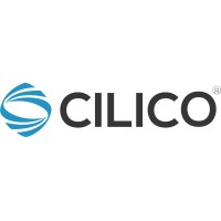 Cilico Microelectronics Limited Logo