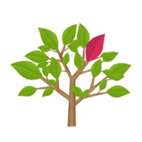 Red Leaf IT Asset Recovery and Recycling Logo