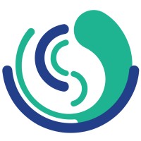 CapSys Group Logo