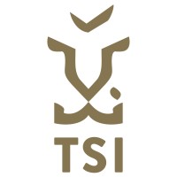 TSI Tech Logo