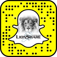 Lions Share Management Group Logo