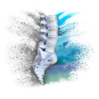 California Spinecare Institute, Inc. Logo