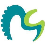 Maestrotech Systems Pvt. Ltd. Logo
