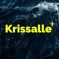 Krissalle • Innovation Consulting & Business Intelligence Logo