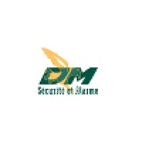 D.M. Sécurité Logo
