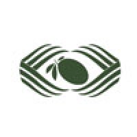 Black Olive Ventures Pvt. Ltd. Logo