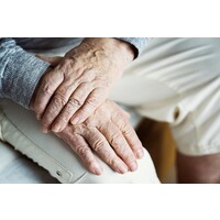 Coalition of Limited English Speaking Elderly (CLESE) Logo