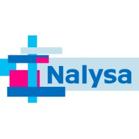Nalysa Logo