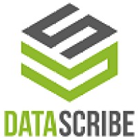 Data Scribe Logo