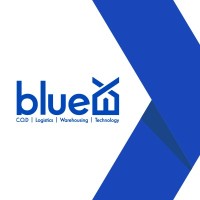 BlueEX Logo