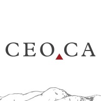 CEO🔺CA Logo