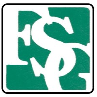 Financial Standards Group CPA LLC and Inc. Logo