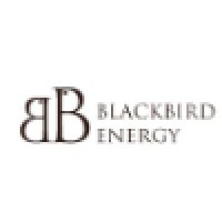 Blackbird Energy Inc. Logo