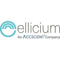 Ellicium Solutions Inc. Logo
