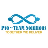 ProTEAM Solutions Private Limited Logo