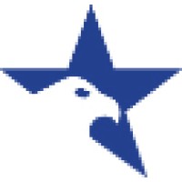 Special Applications Group Logo