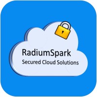 RadiumSpark Inc Logo