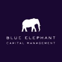Blue Elephant Capital Management, LLC Logo