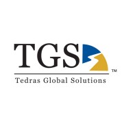Tedras Global Solutions Logo