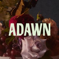 Adawn Dental Studio Logo