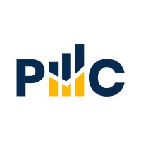 PAN Market Consulting Logo
