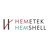 Hemetek Techno Instruments Pvt.Ltd. Logo
