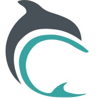 Dolphin Financial Group Logo