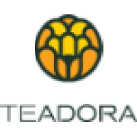 Teadora Logo