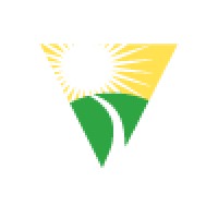 NewInSights, Inc. Logo