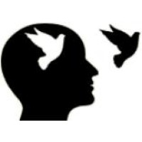 PIA Consultancy & Engineering Pvt. Ltd. Logo