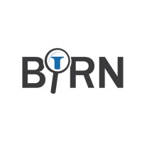 Balkan Investigative Reporting Network (BIRN) Logo