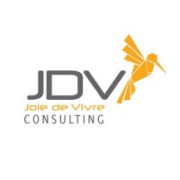 JDV Consulting Logo