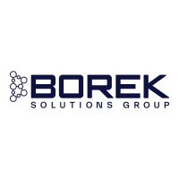 BOREK Solutions Group Logo