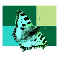 Museu de Ciències Naturals de Granollers Logo