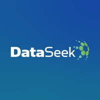 DataSeek Logo