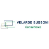 VELARDE SUSSONI CONSULTORES Logo