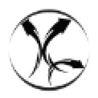 KriXis Consulting Logo