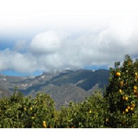 Law Offices of Parker & Irwin Logo