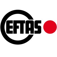 EFTAS Fernerkundung Technologietransfer GmbH Logo