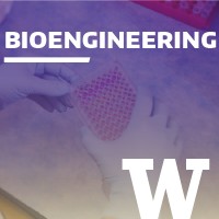 University of Washington Bioengineering Logo