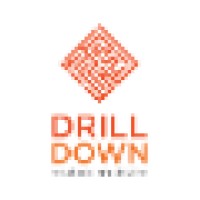 Drill Down - Assessoria de Marketing, Pesquisa de Mercado e BI Logo