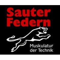 Heinrich Sauter Fabrik technischer Federn GmbH Logo